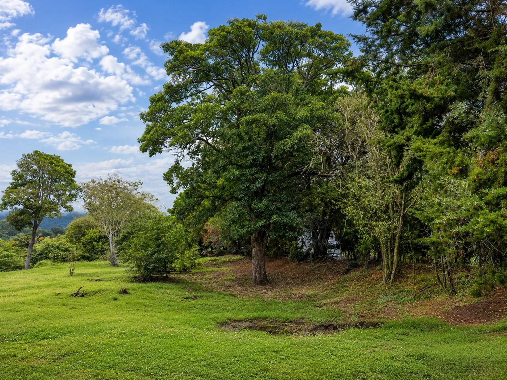 res-00006238-06.jpg