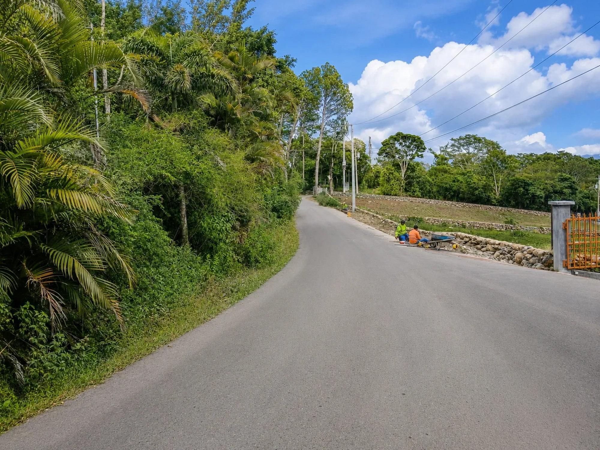 res-00006238-08.jpg