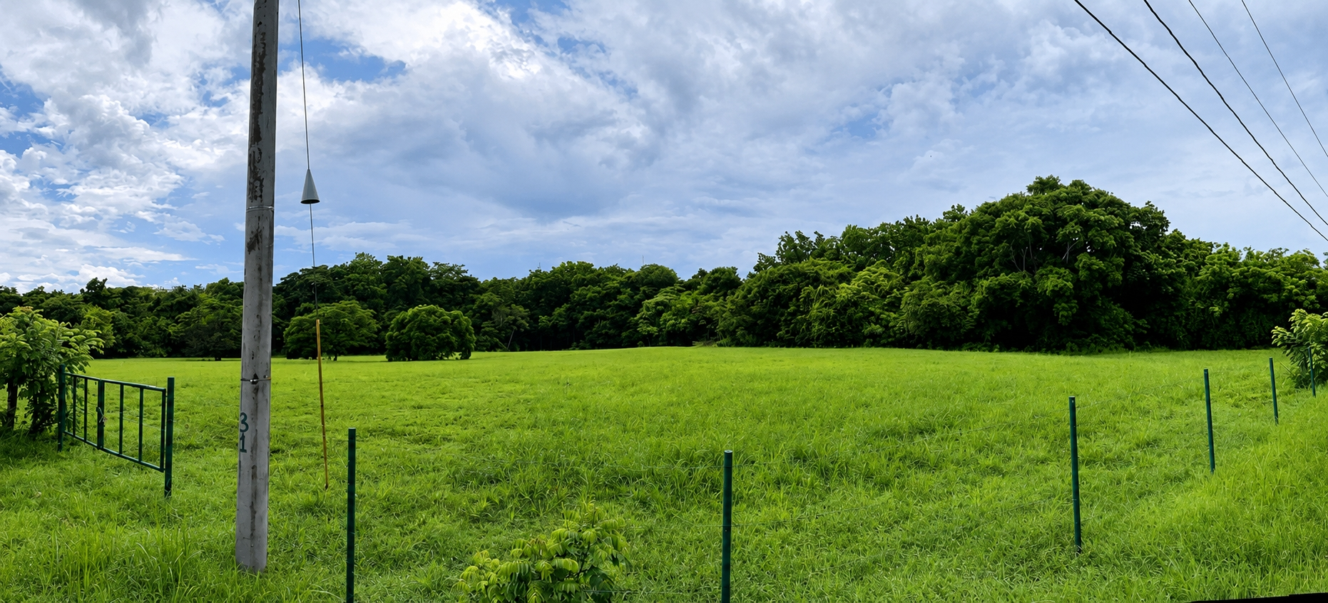 res-00006243-01.jpg