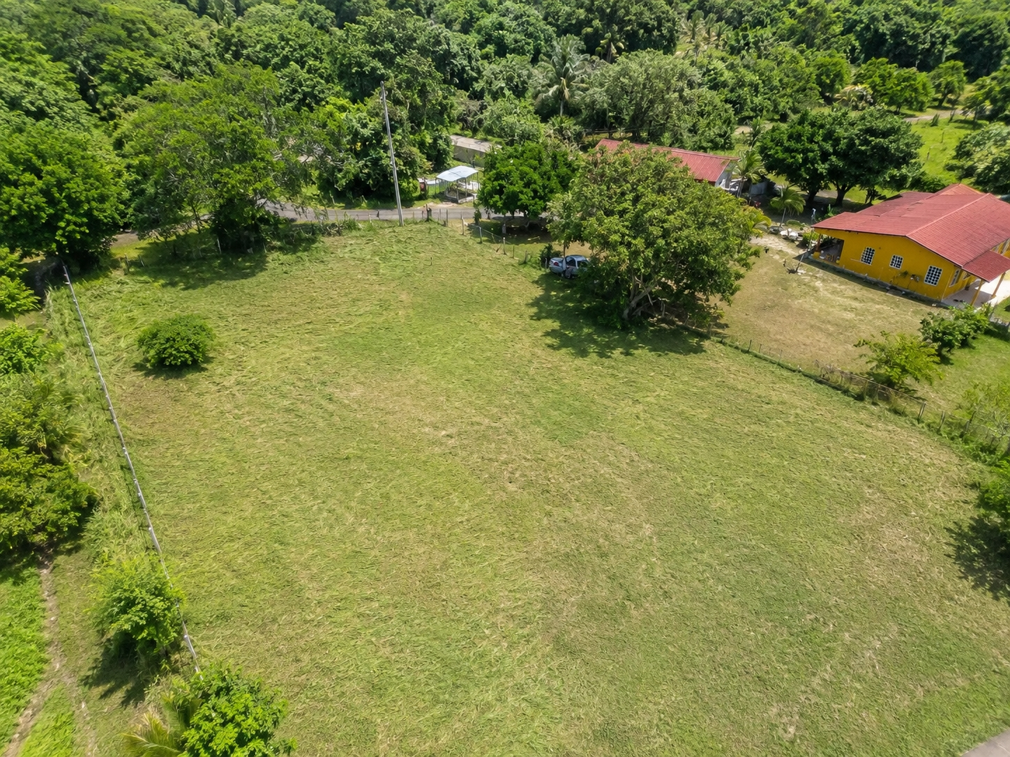 res-00006243-03.jpg
