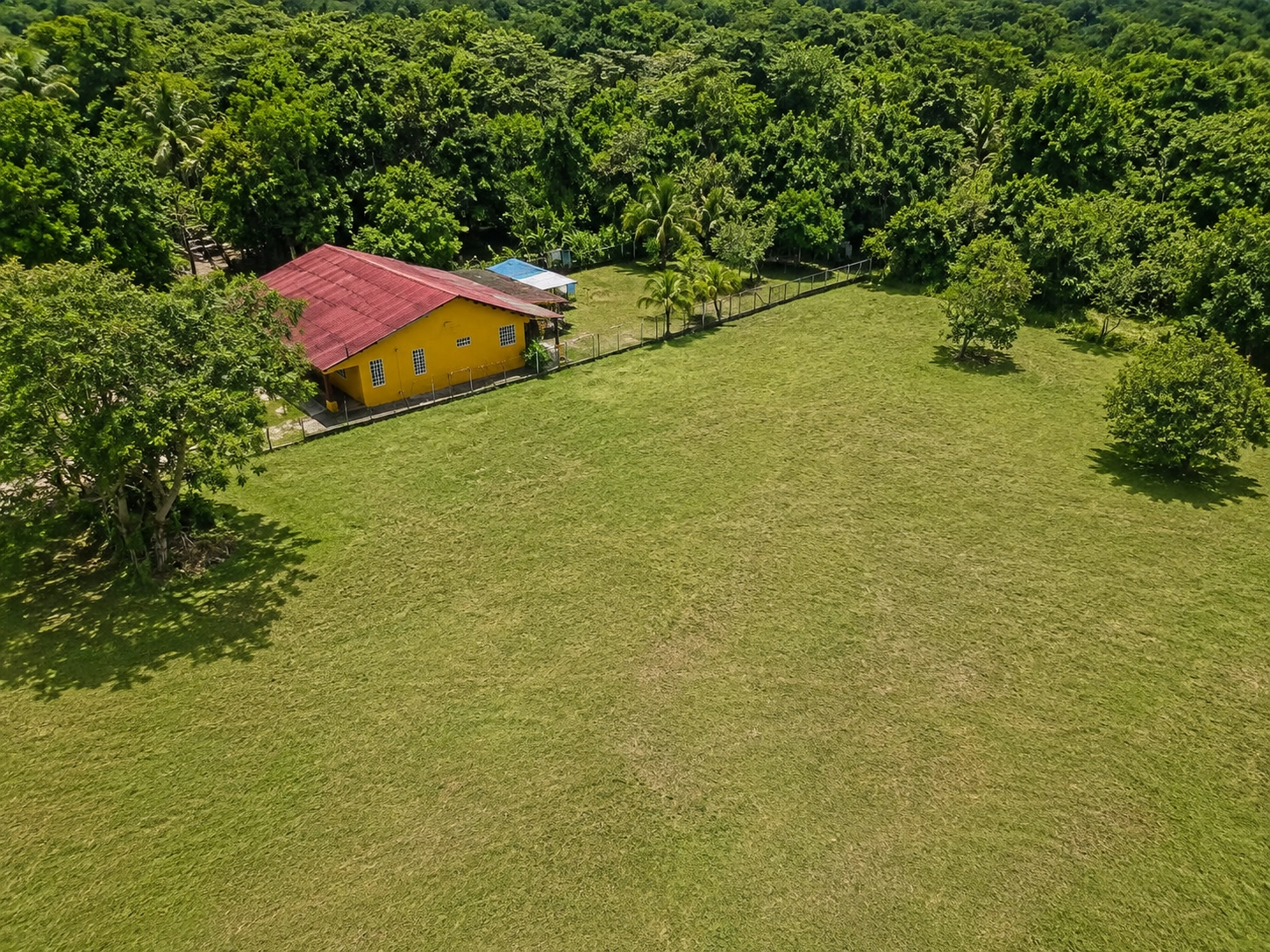res-00006243-04.jpg