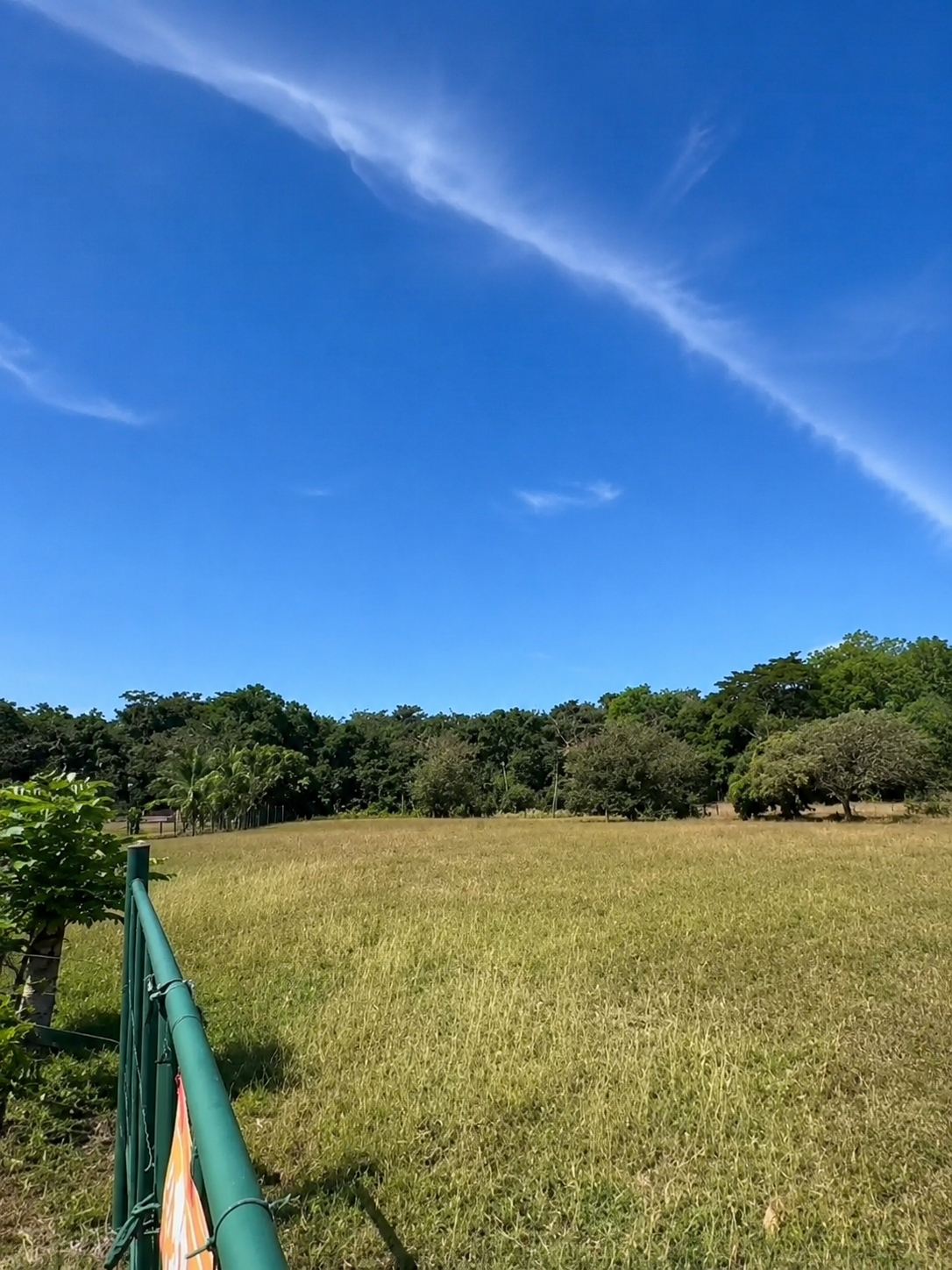 res-00006243-05.jpg
