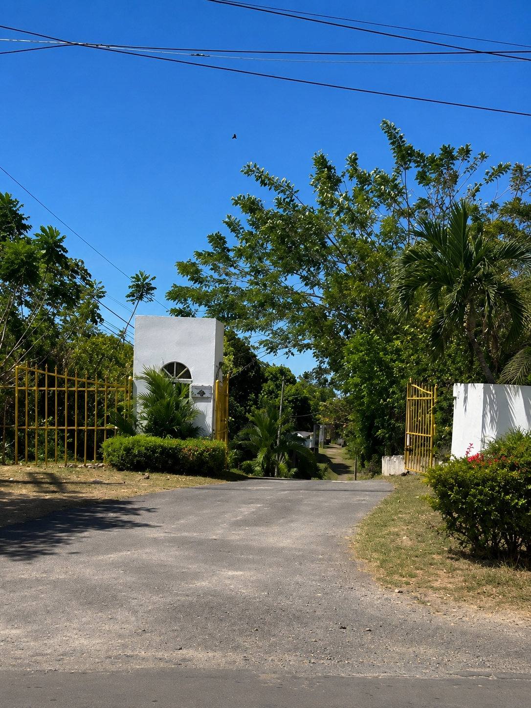 res-00006243-07.jpg