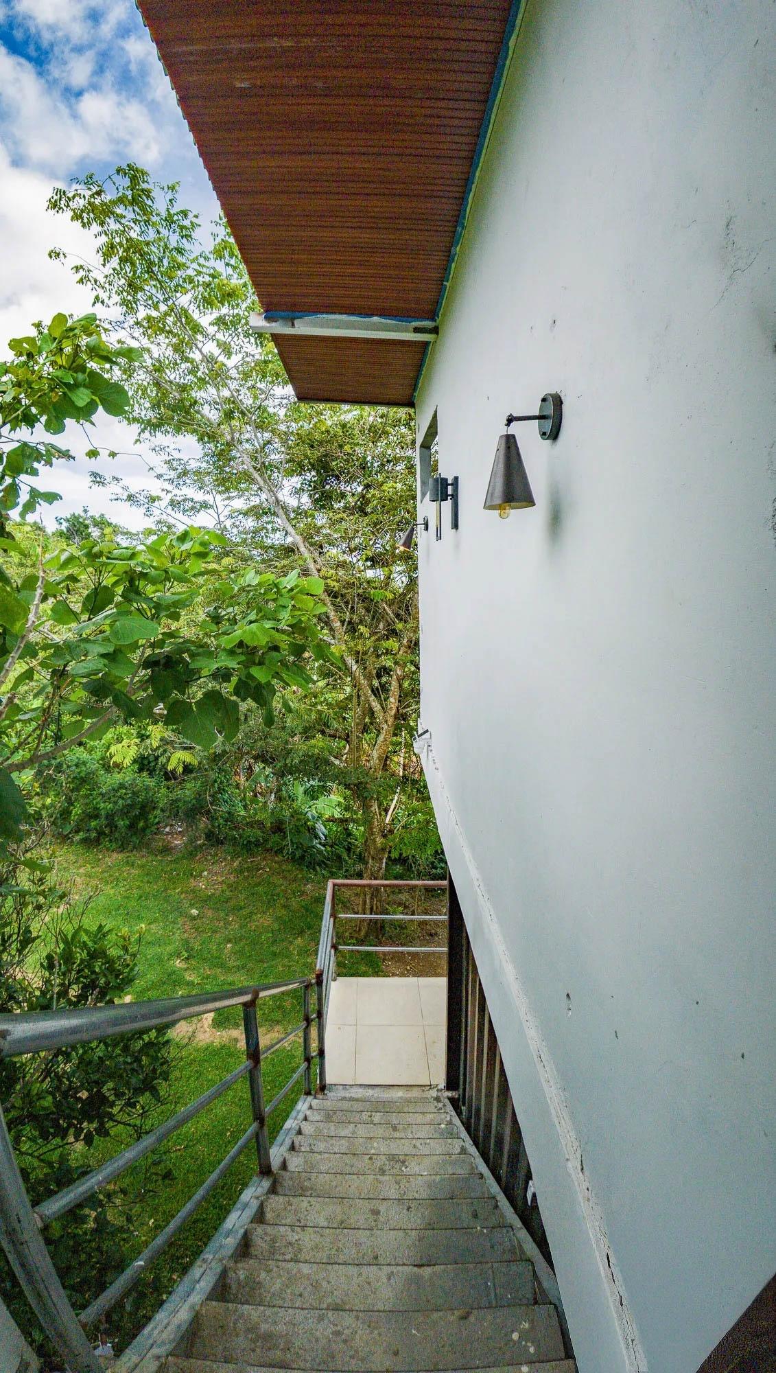 res-00006269-14.jpg