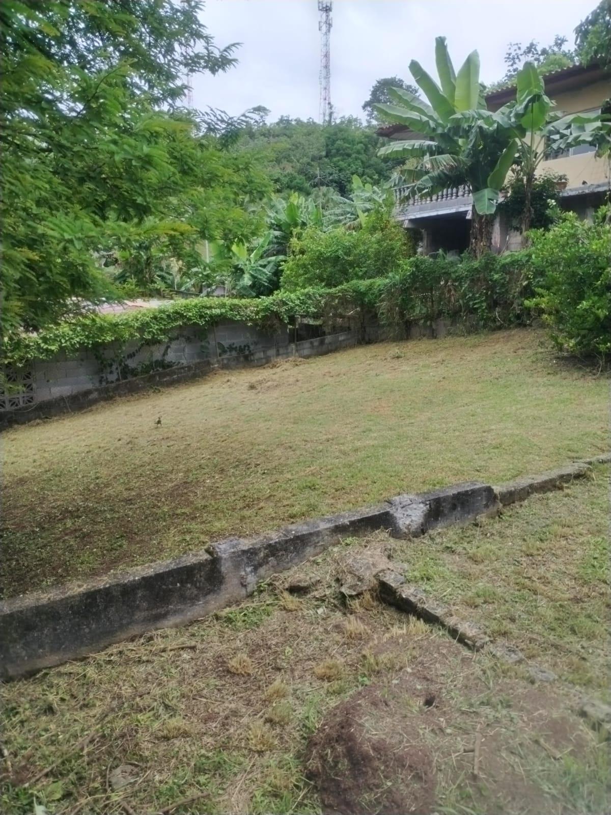 res-00006277-13.jpg