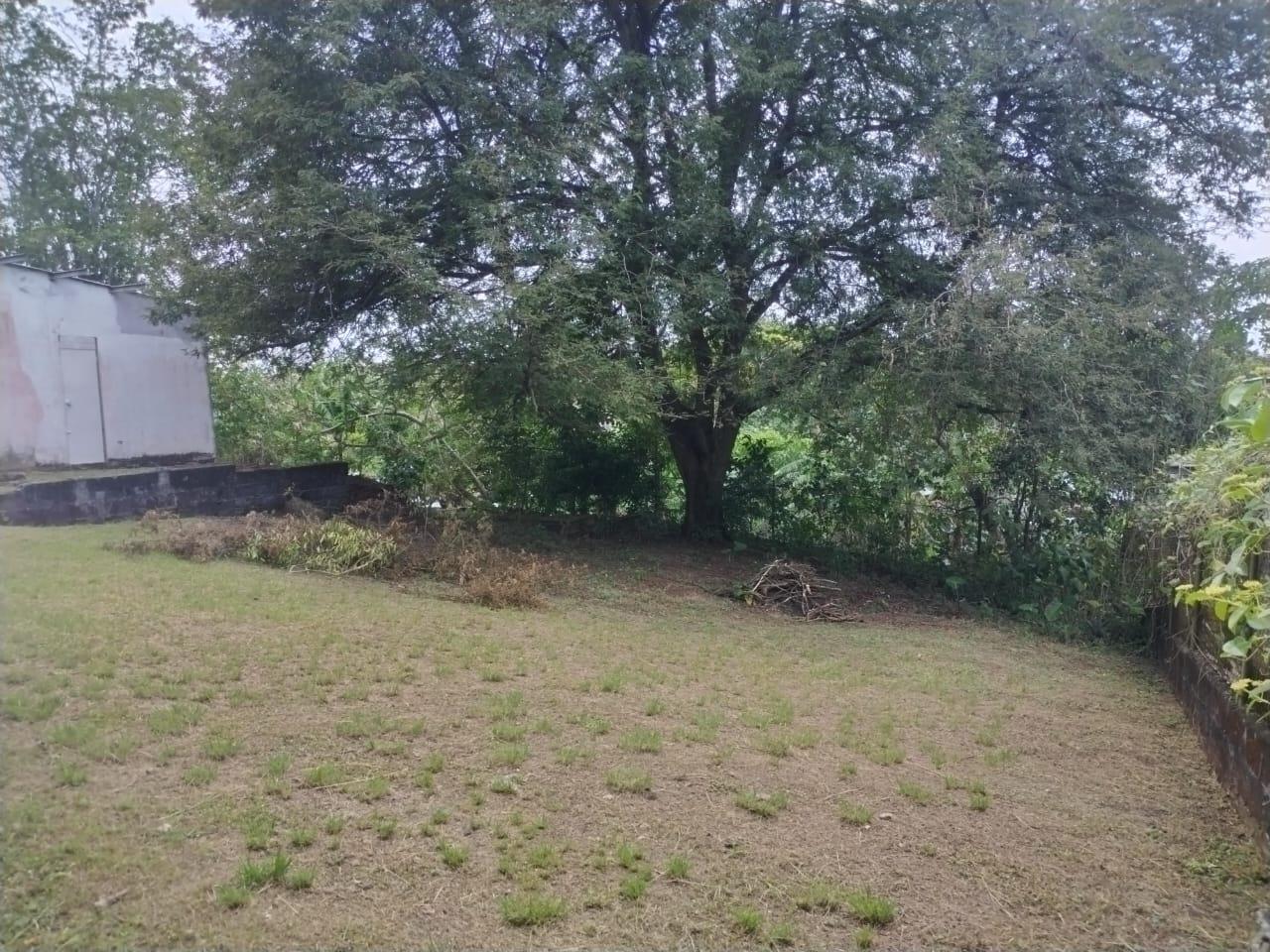 res-00006277-16.jpg