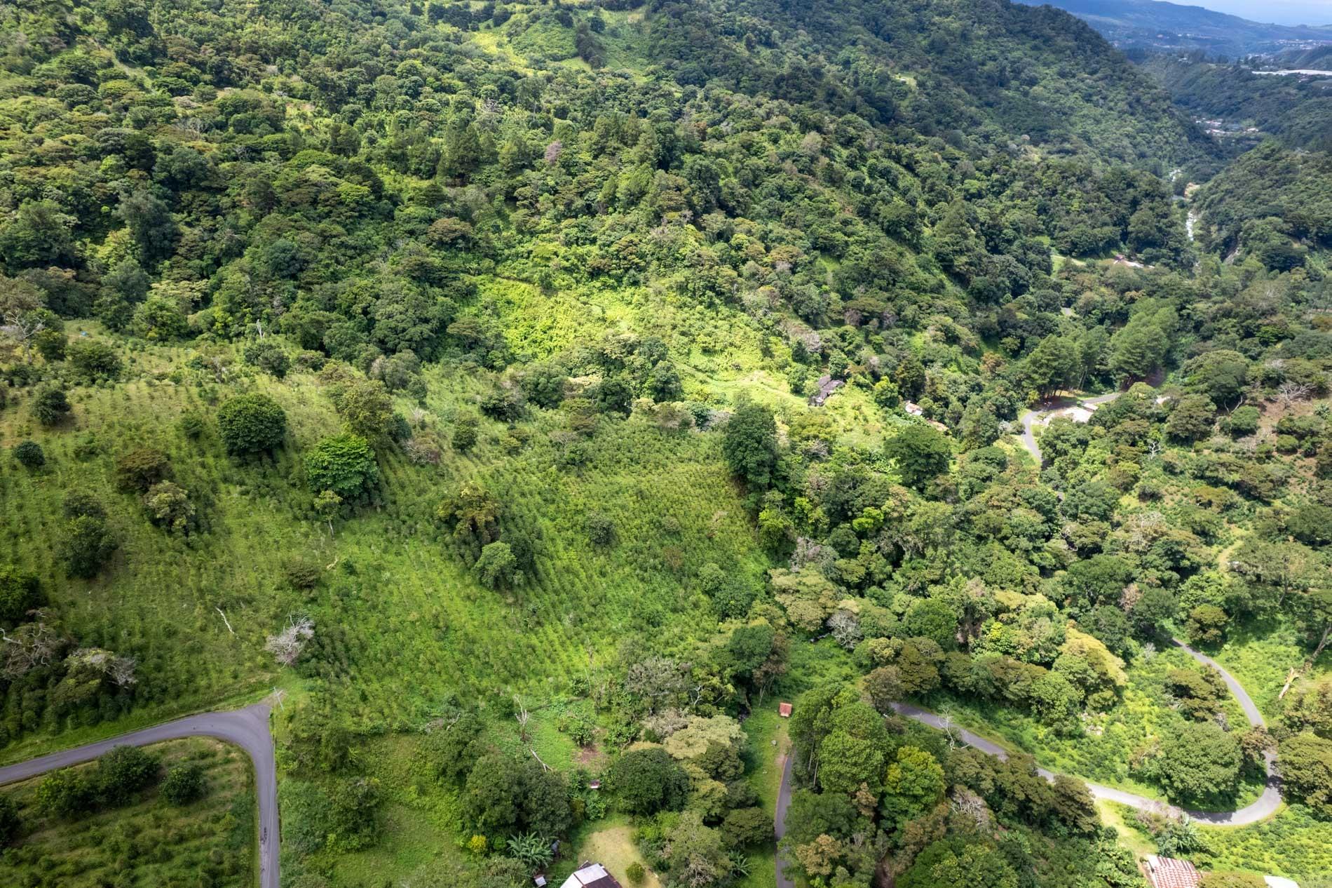 res-0000627d-06.jpg