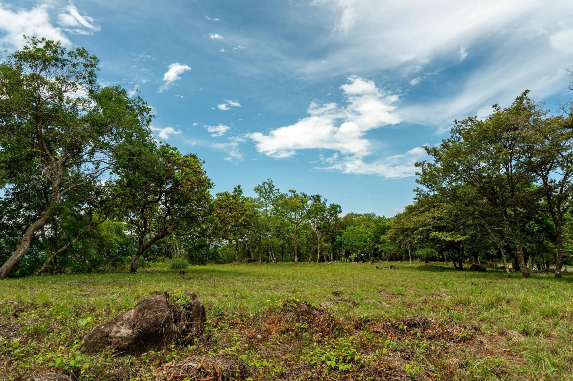 res-00006286-03.jpg
