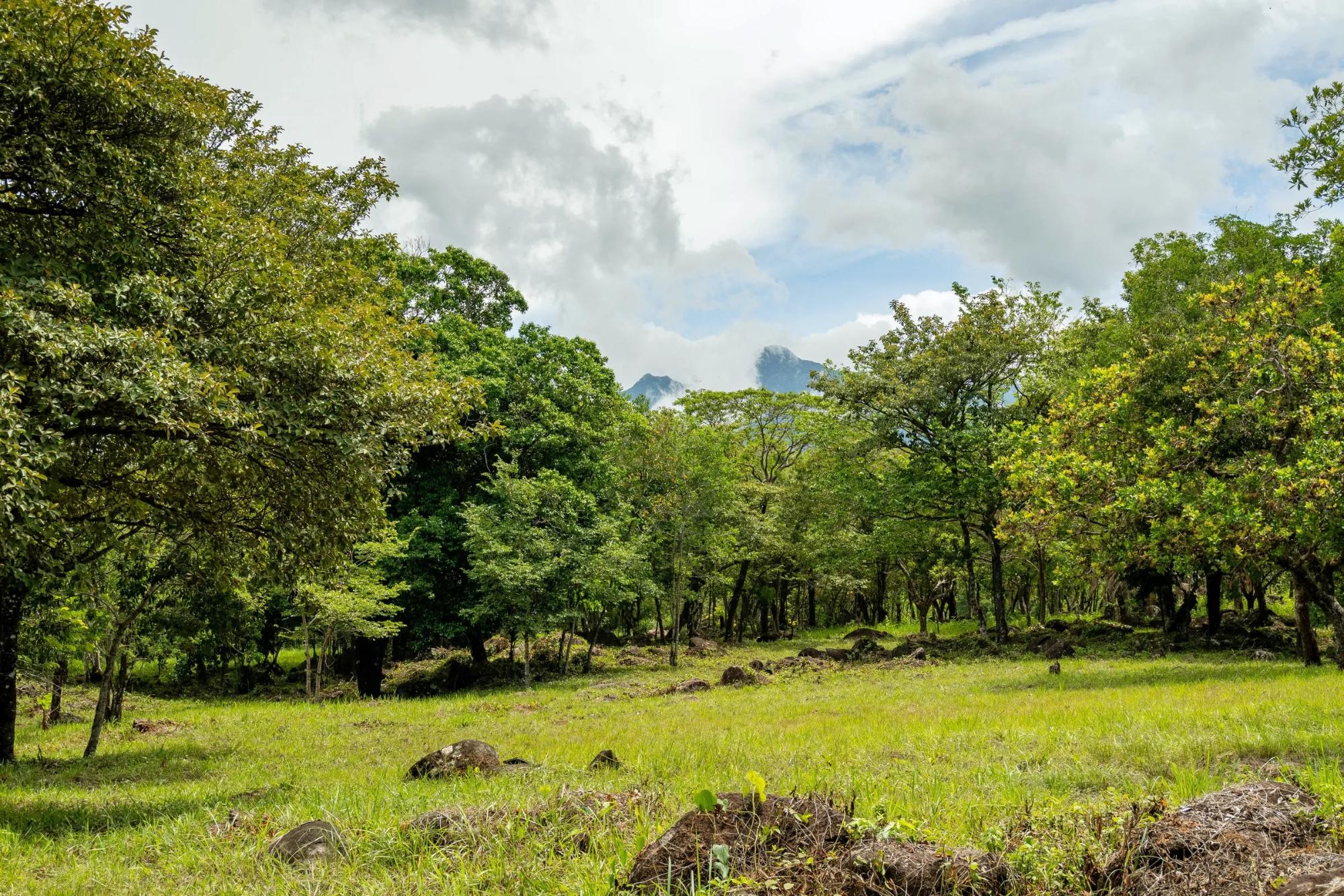 res-00006286-07.jpg