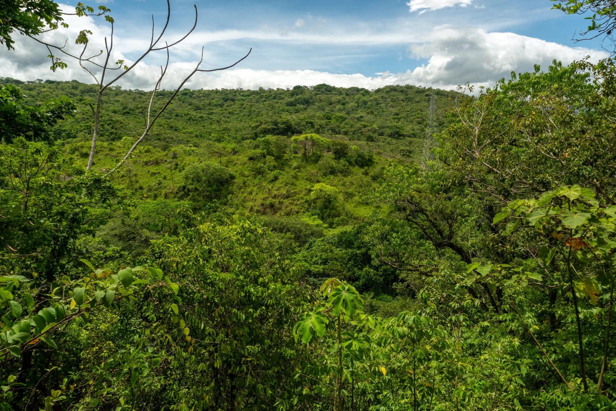 res-00006286-09.jpg