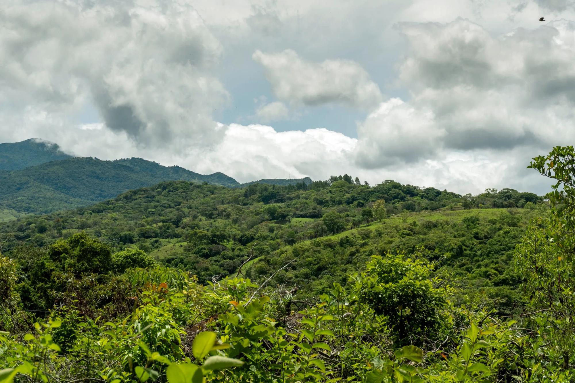 res-00006286-10.jpg