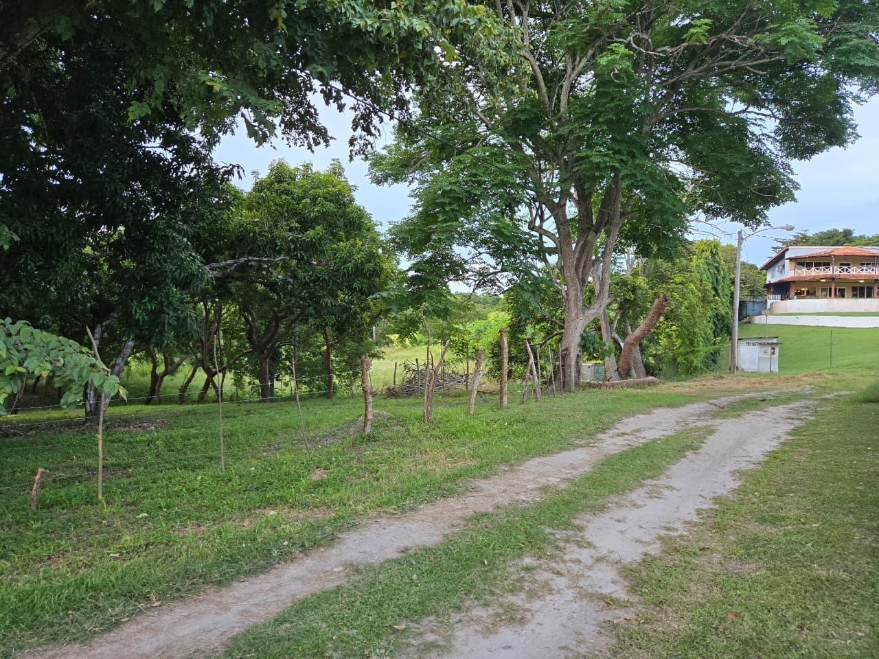 res-000062c7-01.jpg