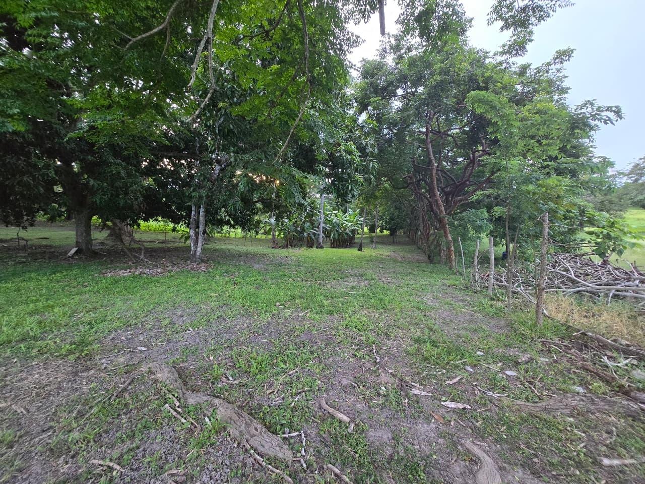res-000062c7-02.jpg