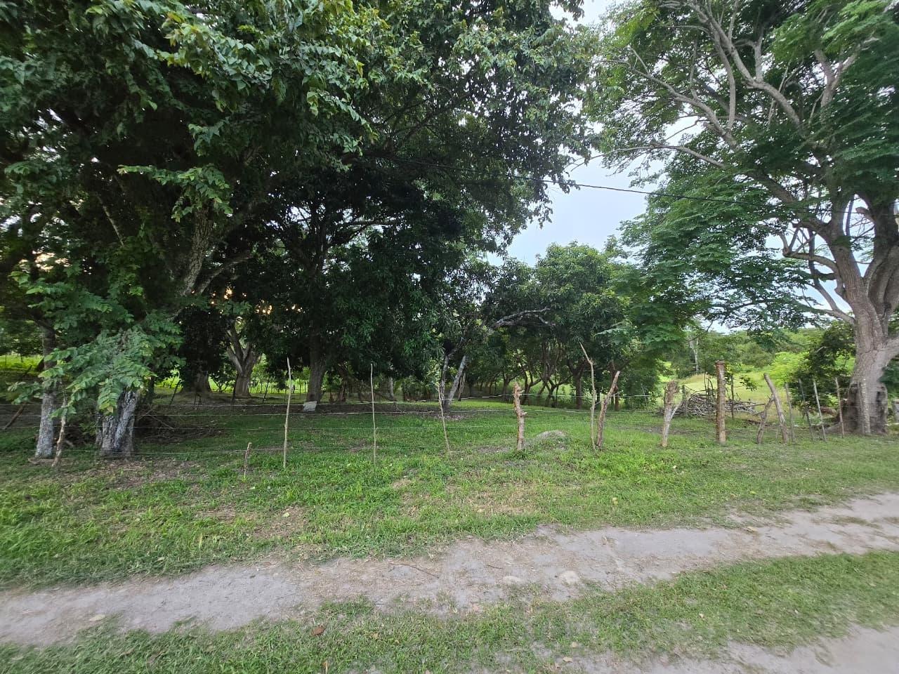 res-000062c7-05.jpg