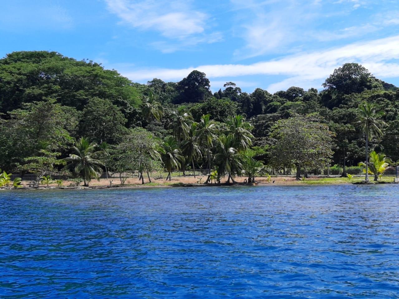 res-000062ce-03.jpg