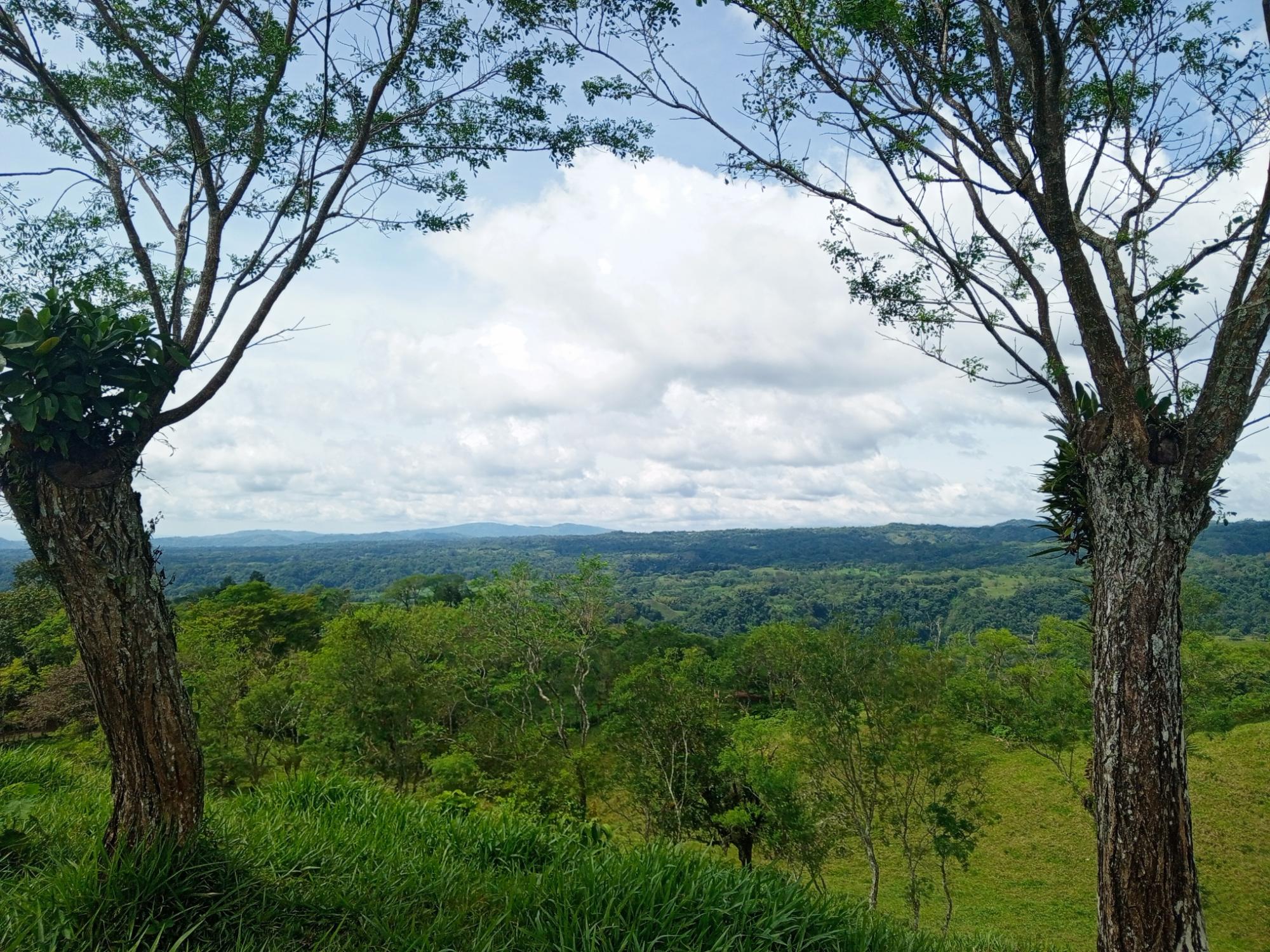 res-000062d2-02.jpg