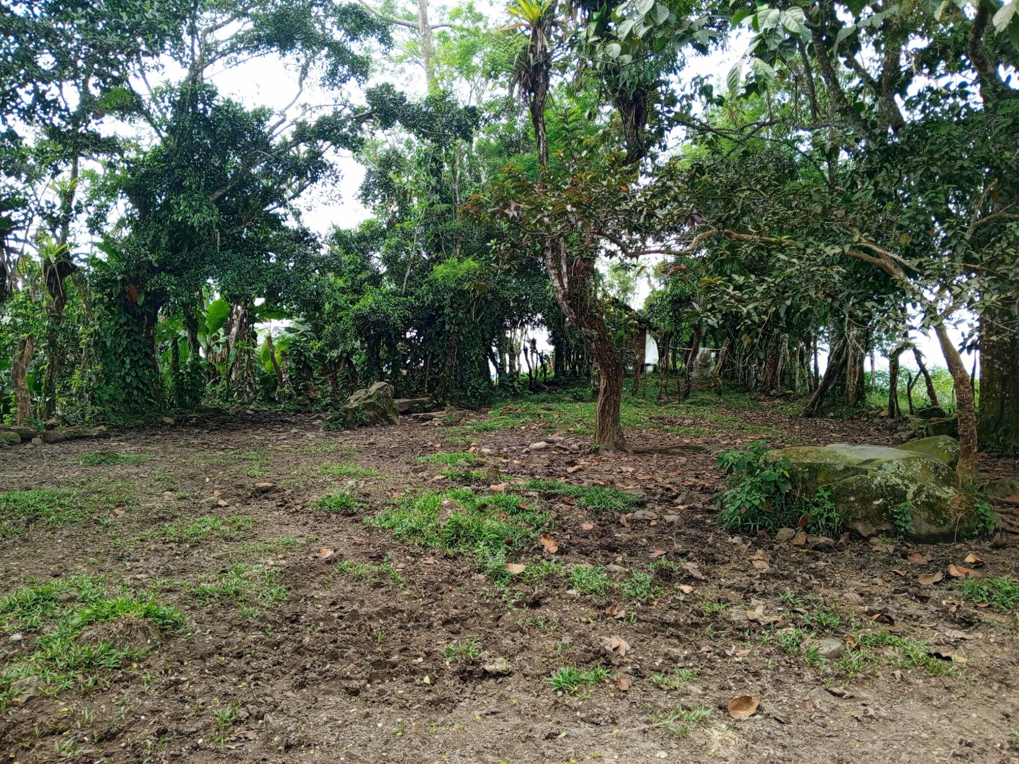 res-000062d2-04.jpg