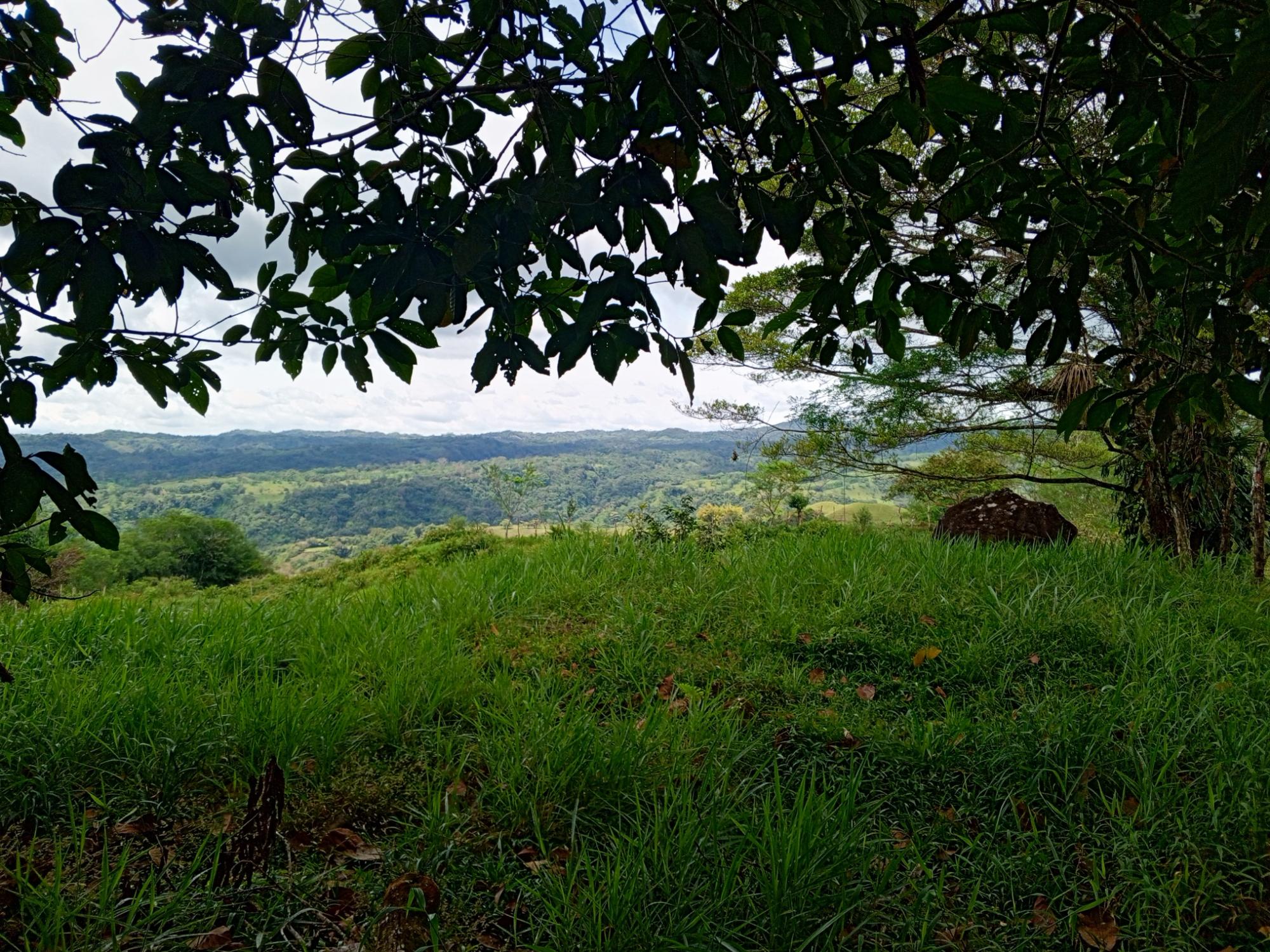 res-000062d2-05.jpg
