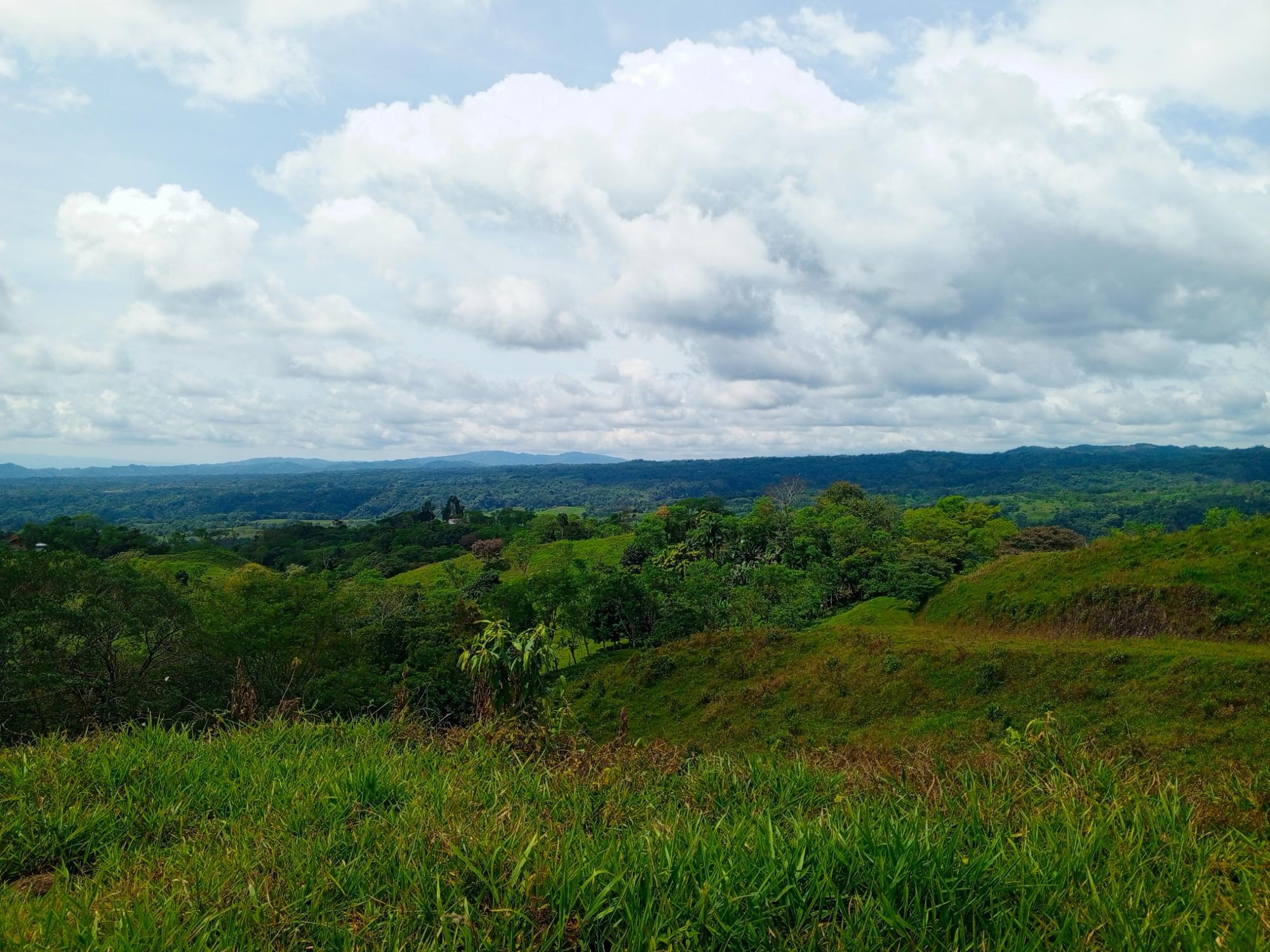 res-000062d2-06.jpg
