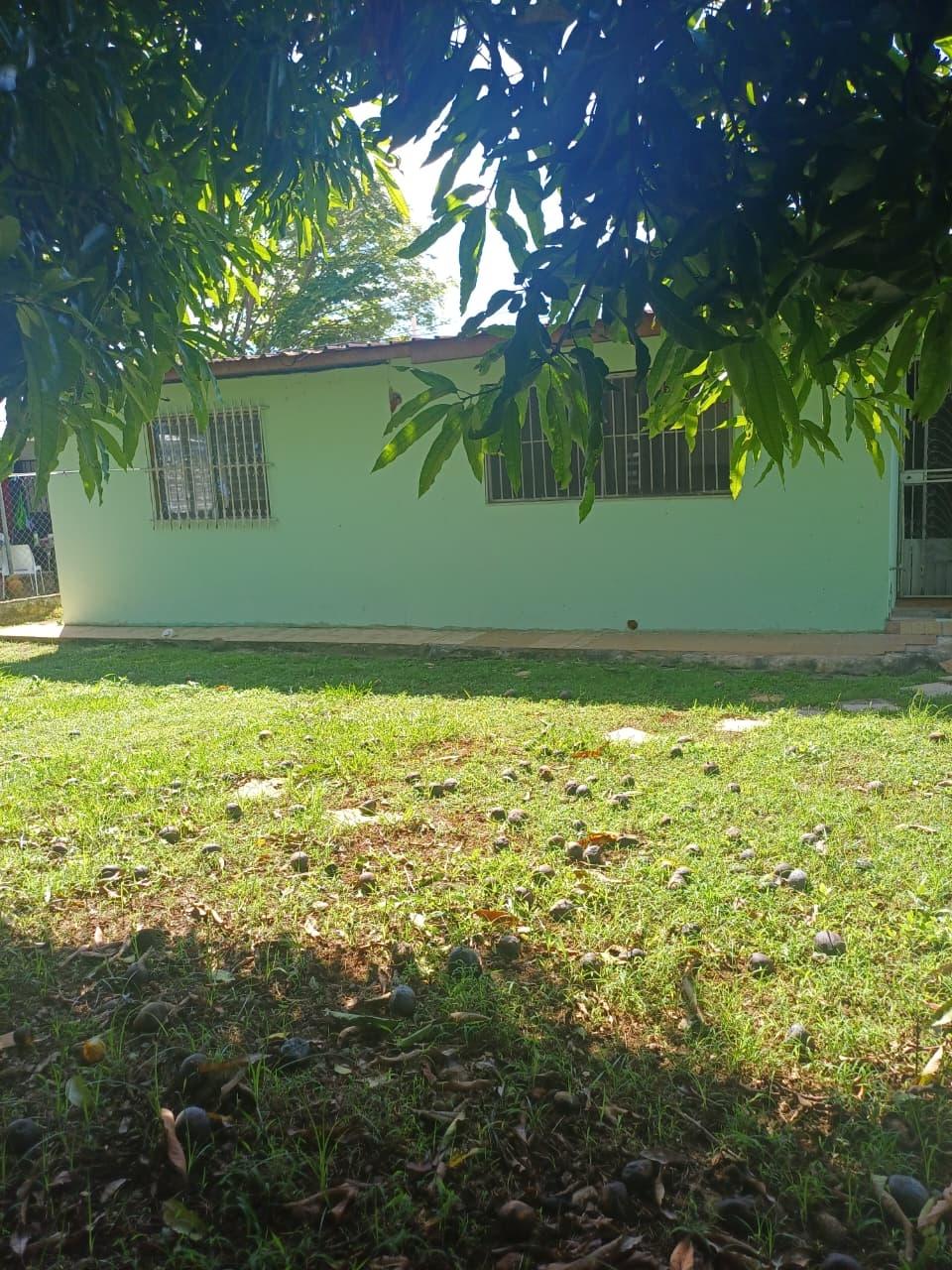 res-000062d4-17.jpg