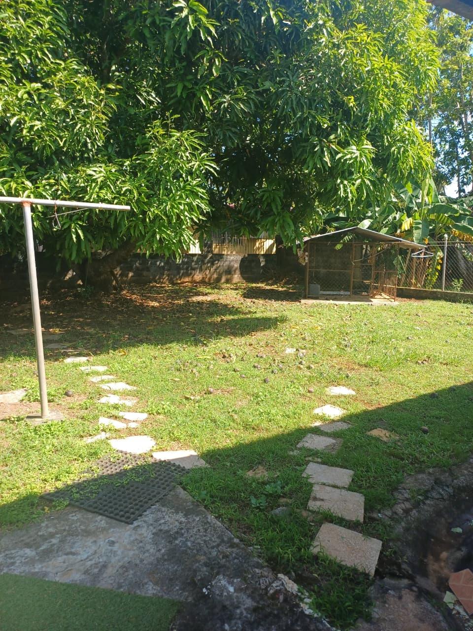 res-000062d4-18.jpg