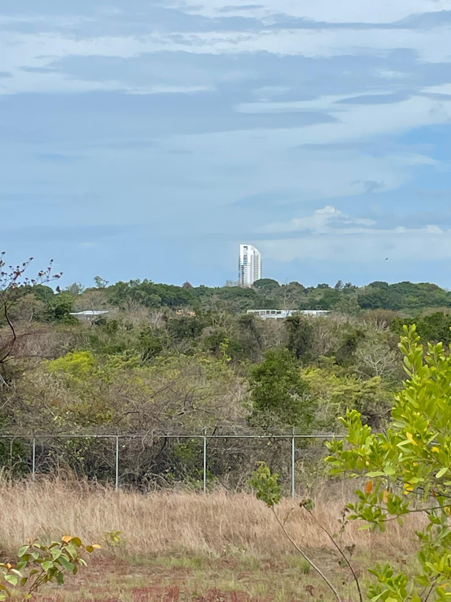 res-000062f9-03.jpg