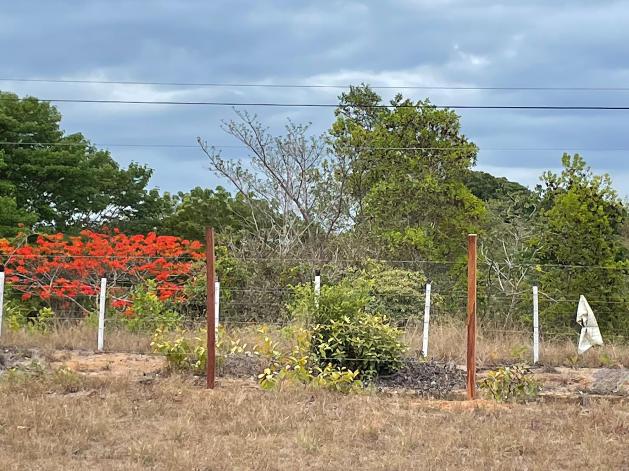 res-000062f9-06.jpg