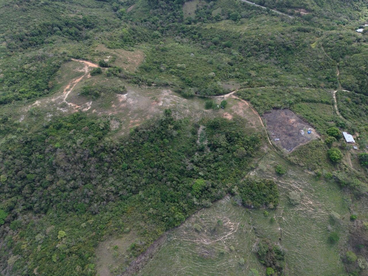 res-00006305-02.jpg
