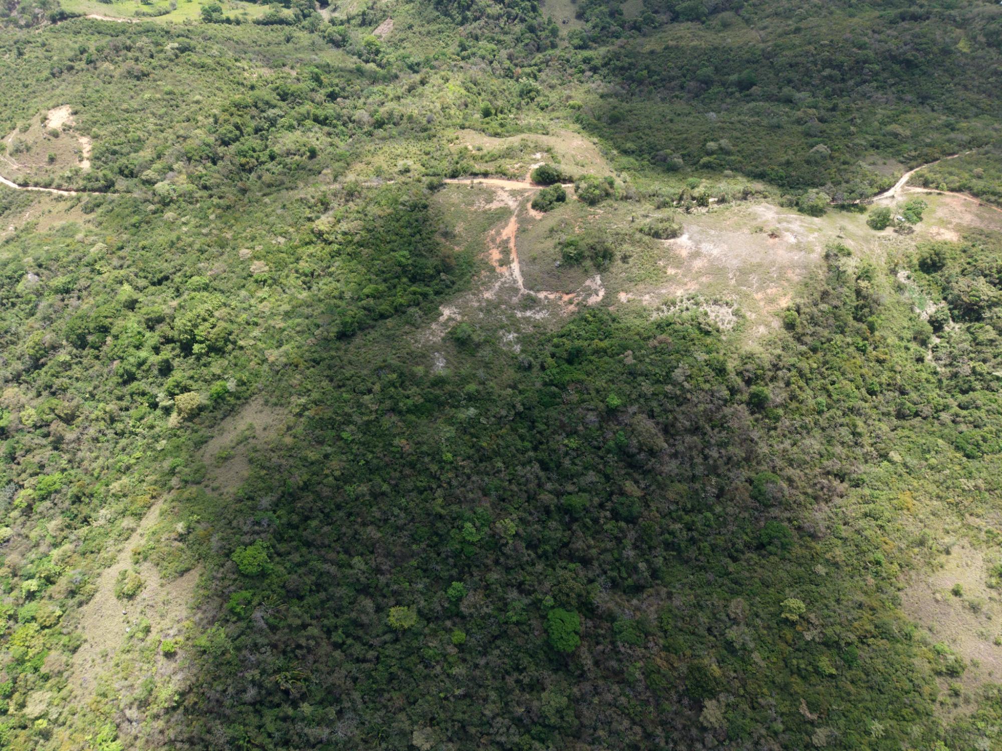res-00006305-04.jpg