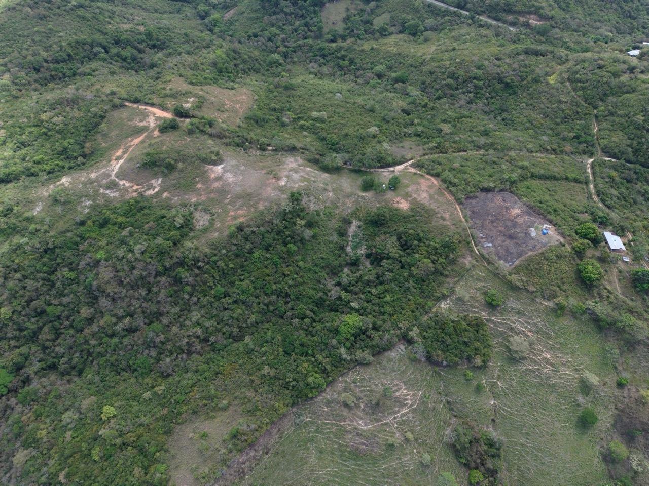 res-00006305-05.jpg