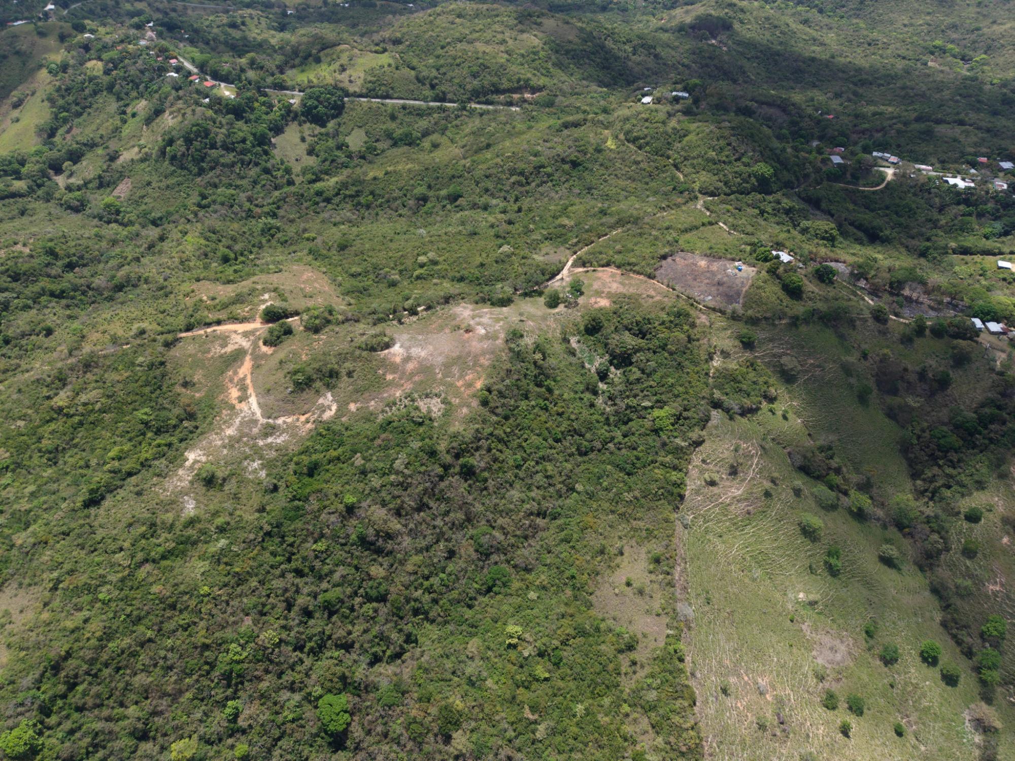 res-00006305-07.jpg
