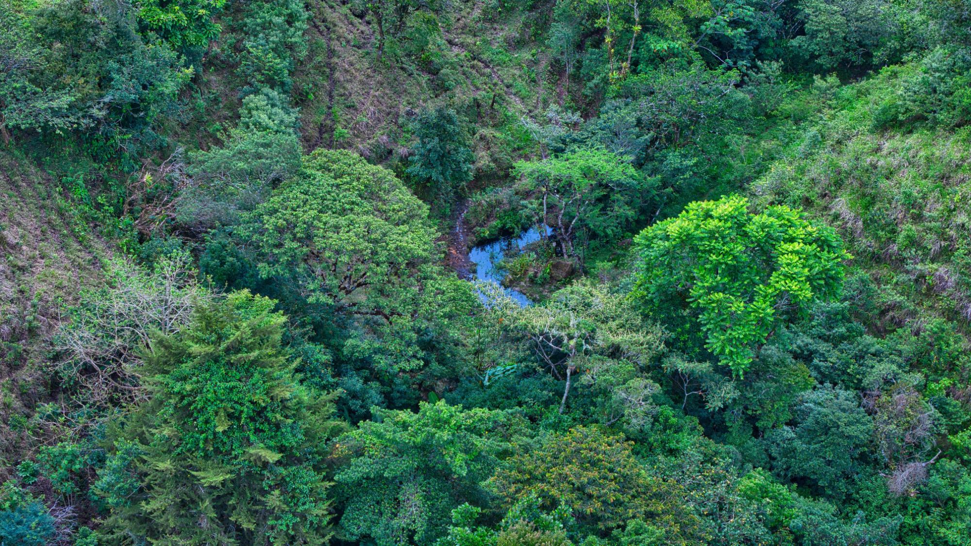 res-00006306-15.jpg