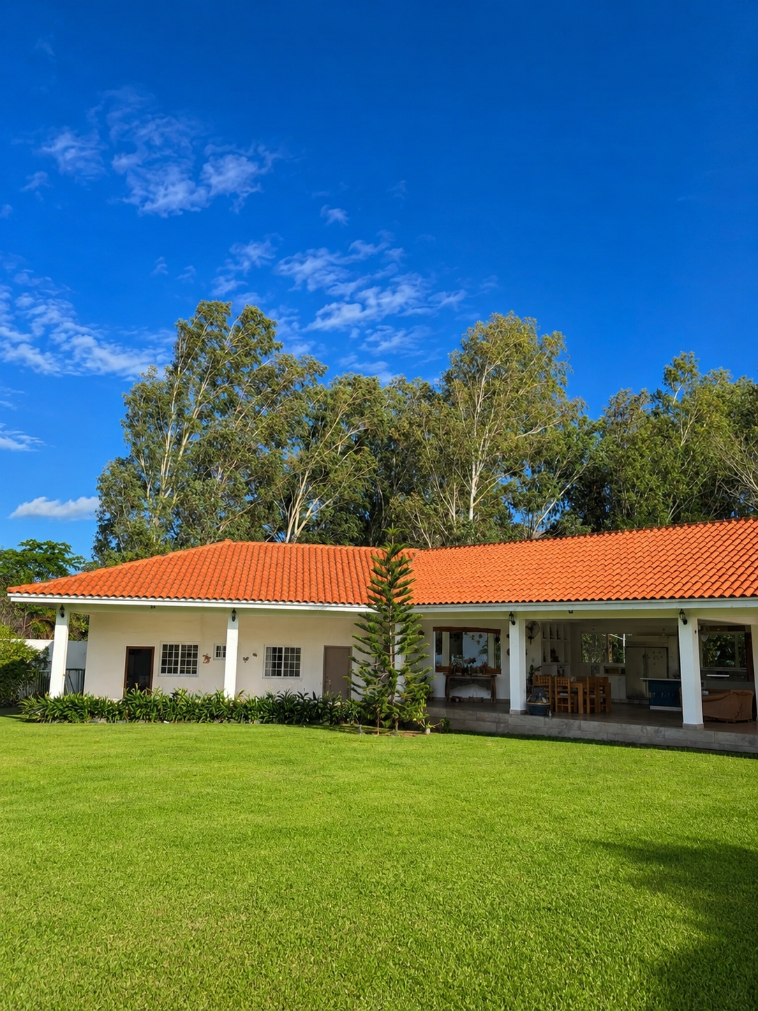 res-00006307-10.jpg