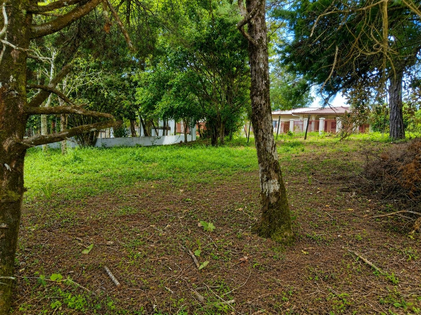 res-0000630e-04.jpg