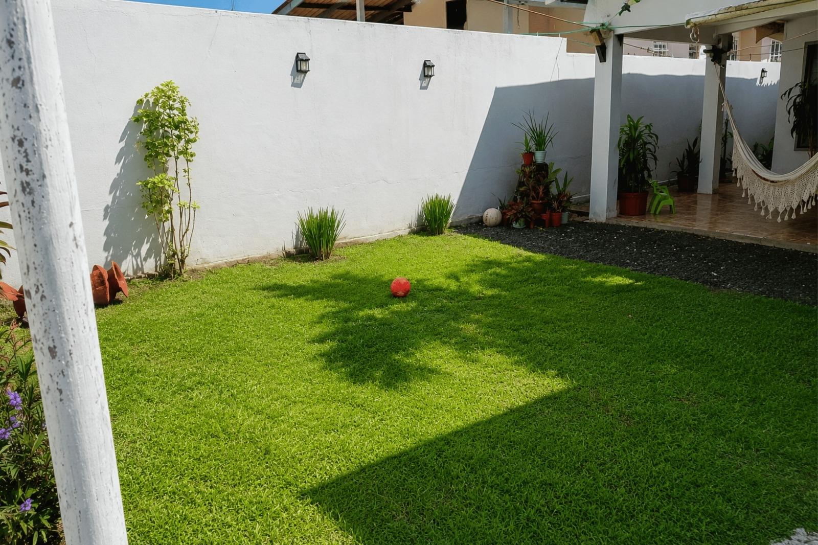 res-00006311-08.jpg