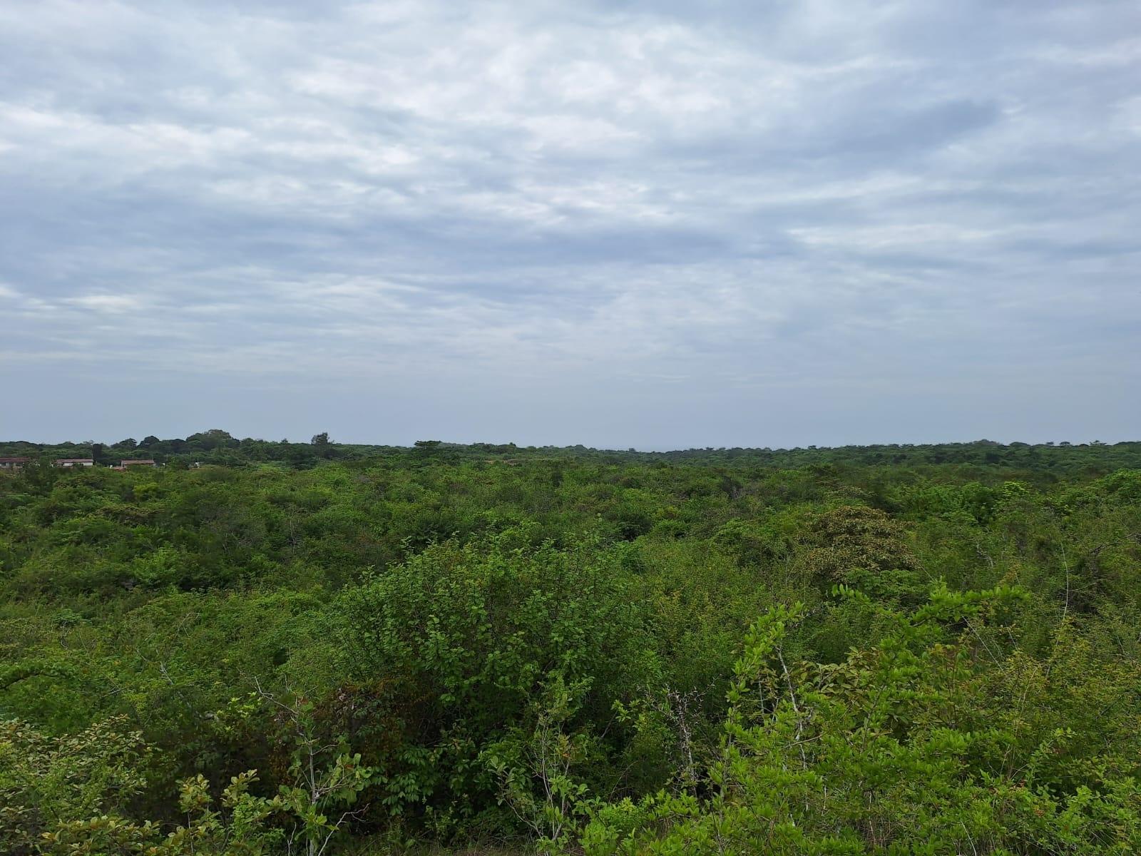 res-00006316-05.jpg