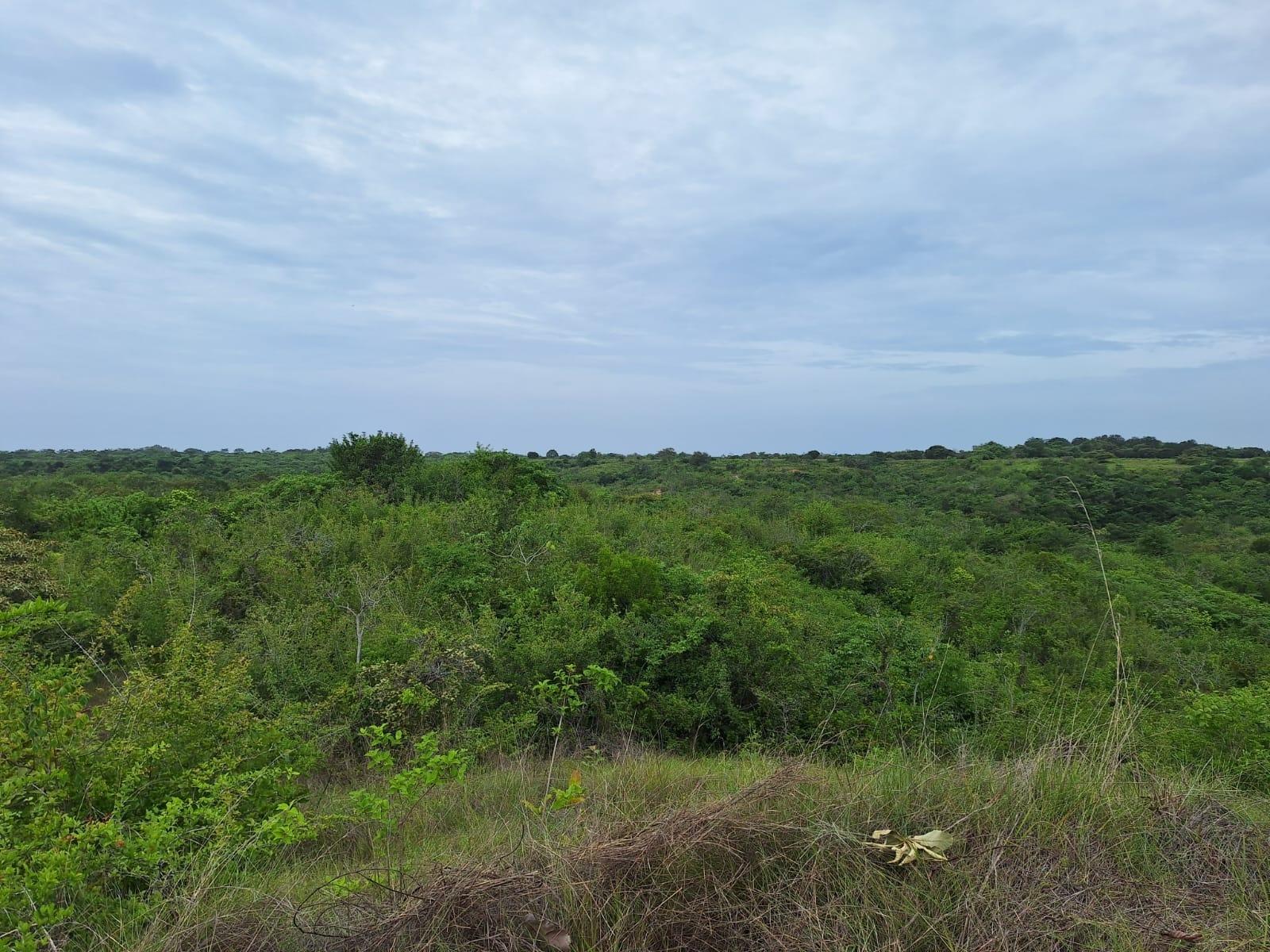 res-00006316-06.jpg
