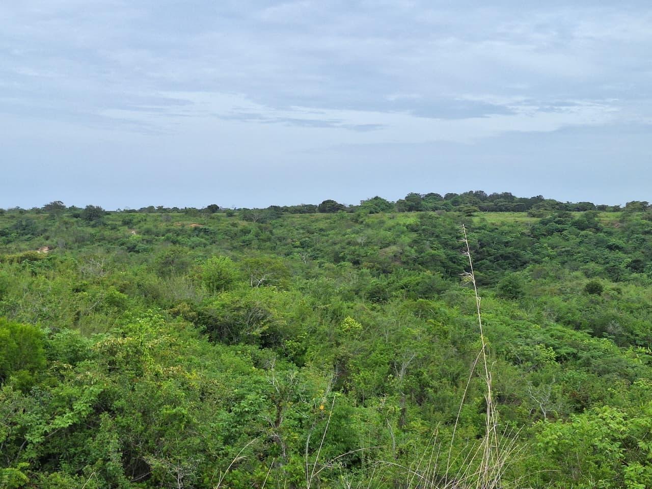 res-00006316-08.jpg