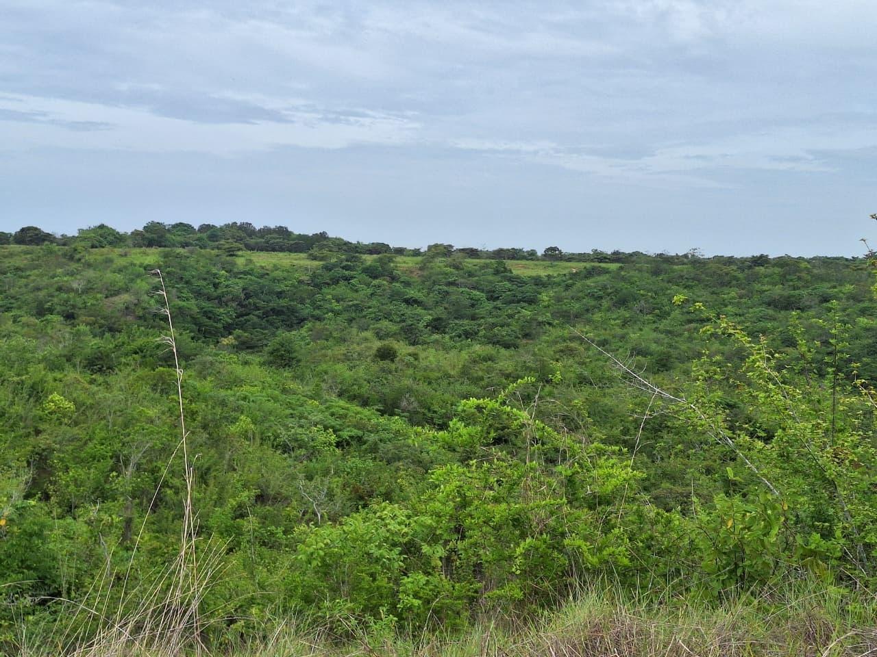 res-00006316-10.jpg