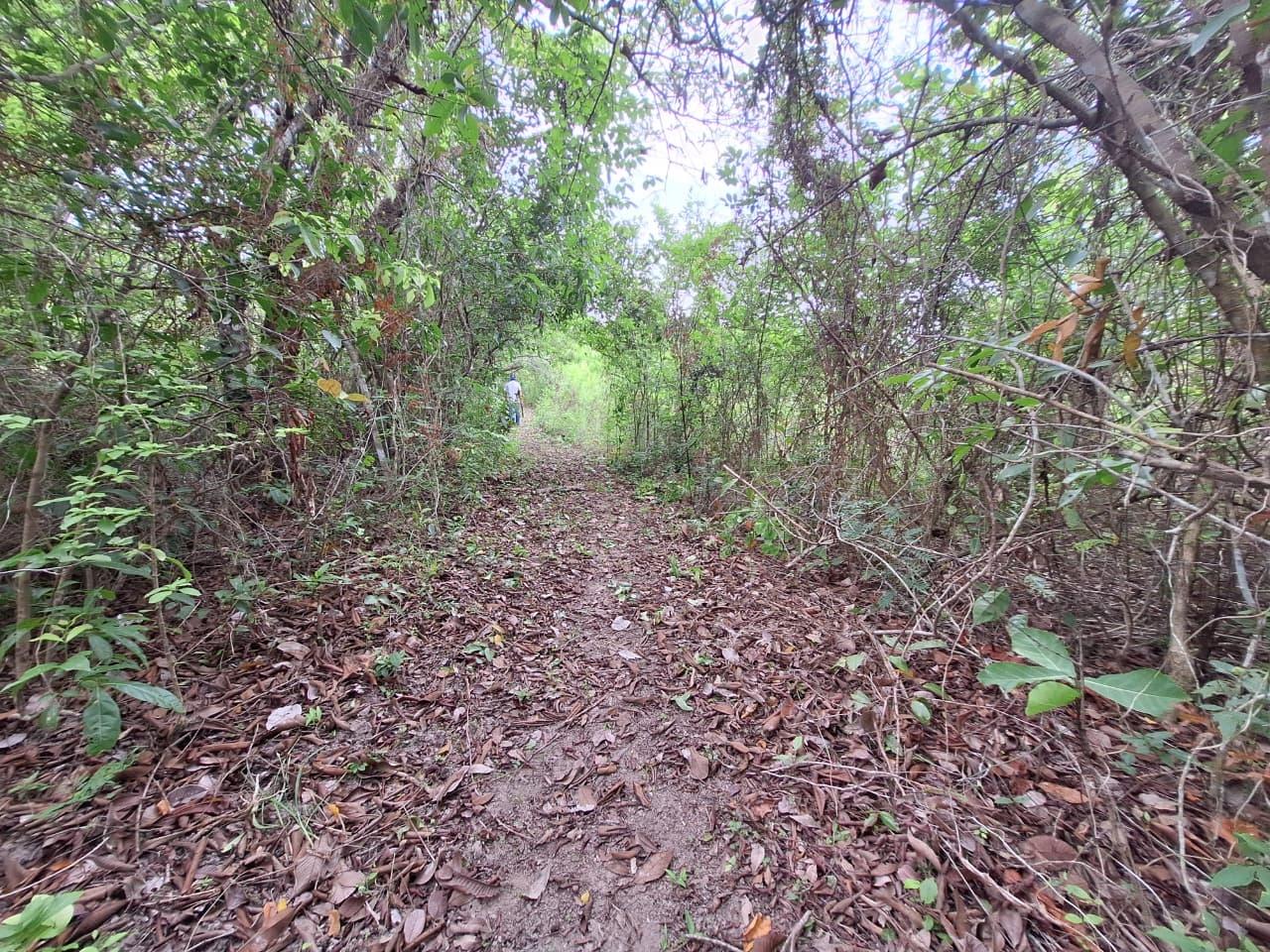 res-00006316-15.jpg