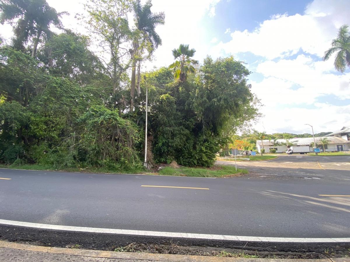 res-00006321-05.jpg