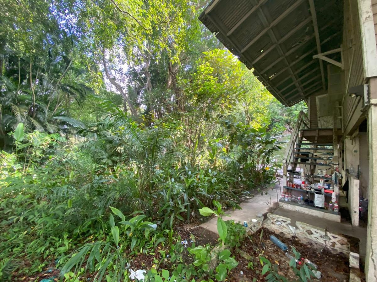 res-00006321-06.jpg