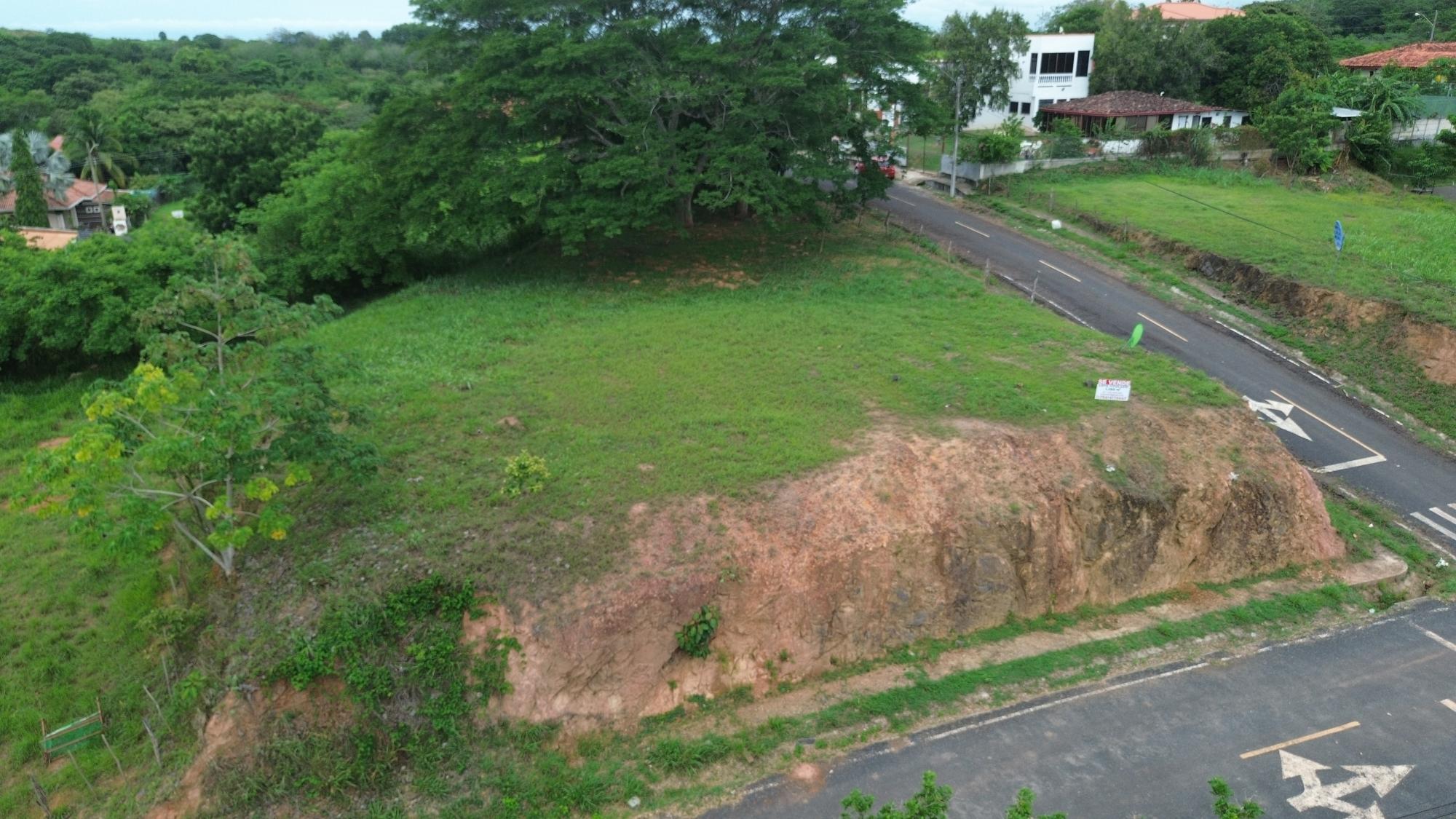 res-00006324-04.jpg