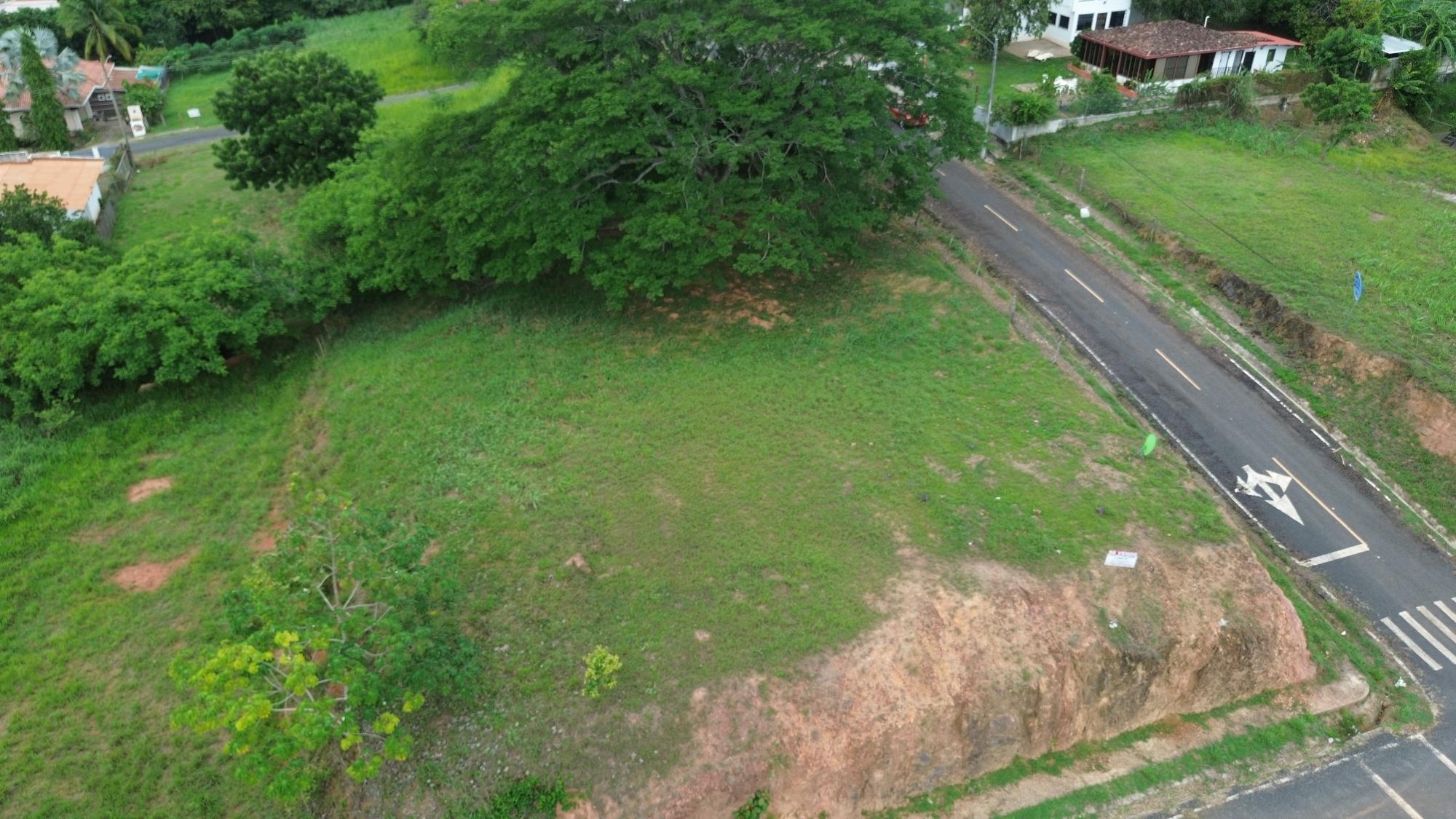 res-00006324-05.jpg