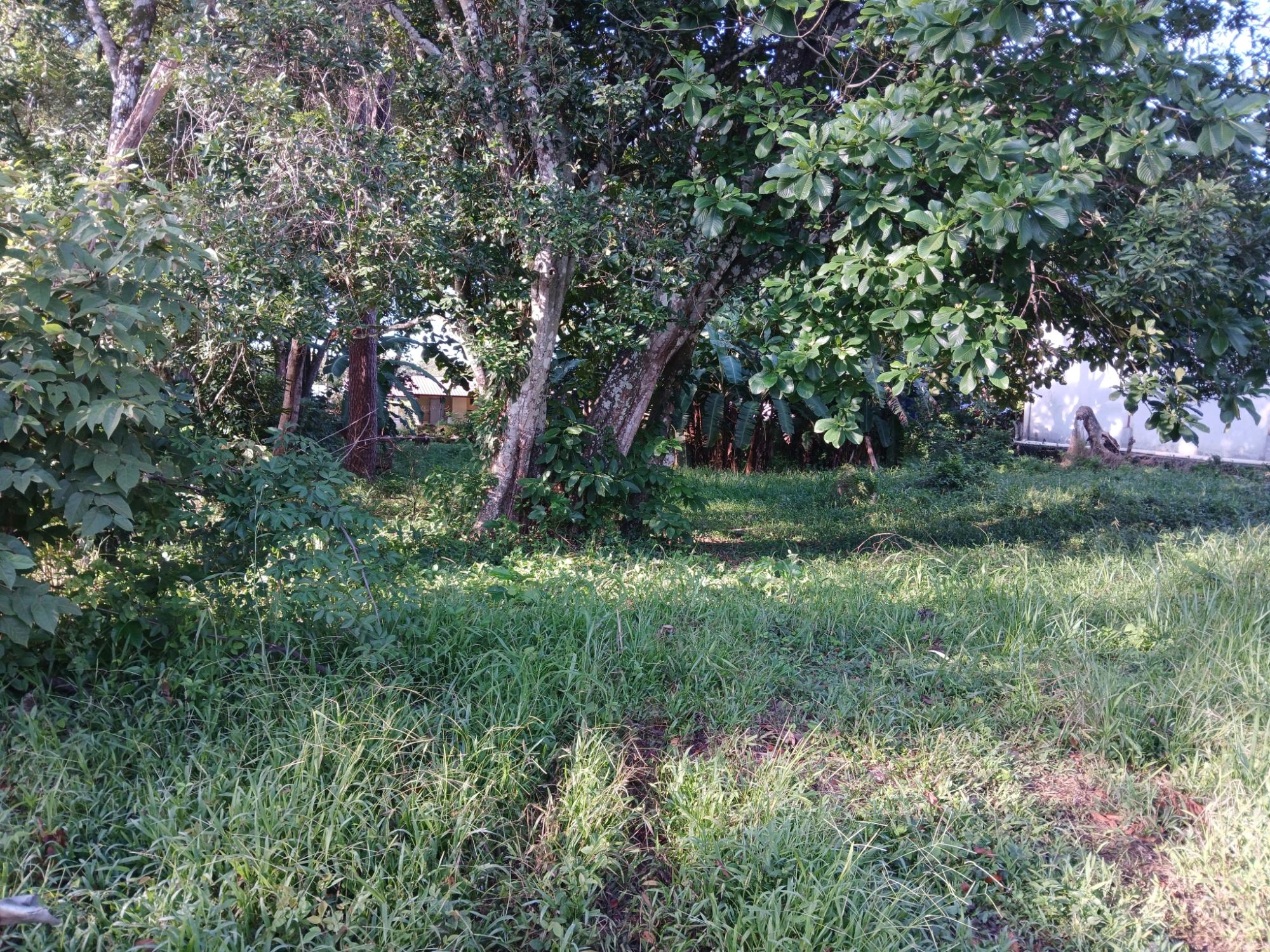 res-0000632d-04.jpg