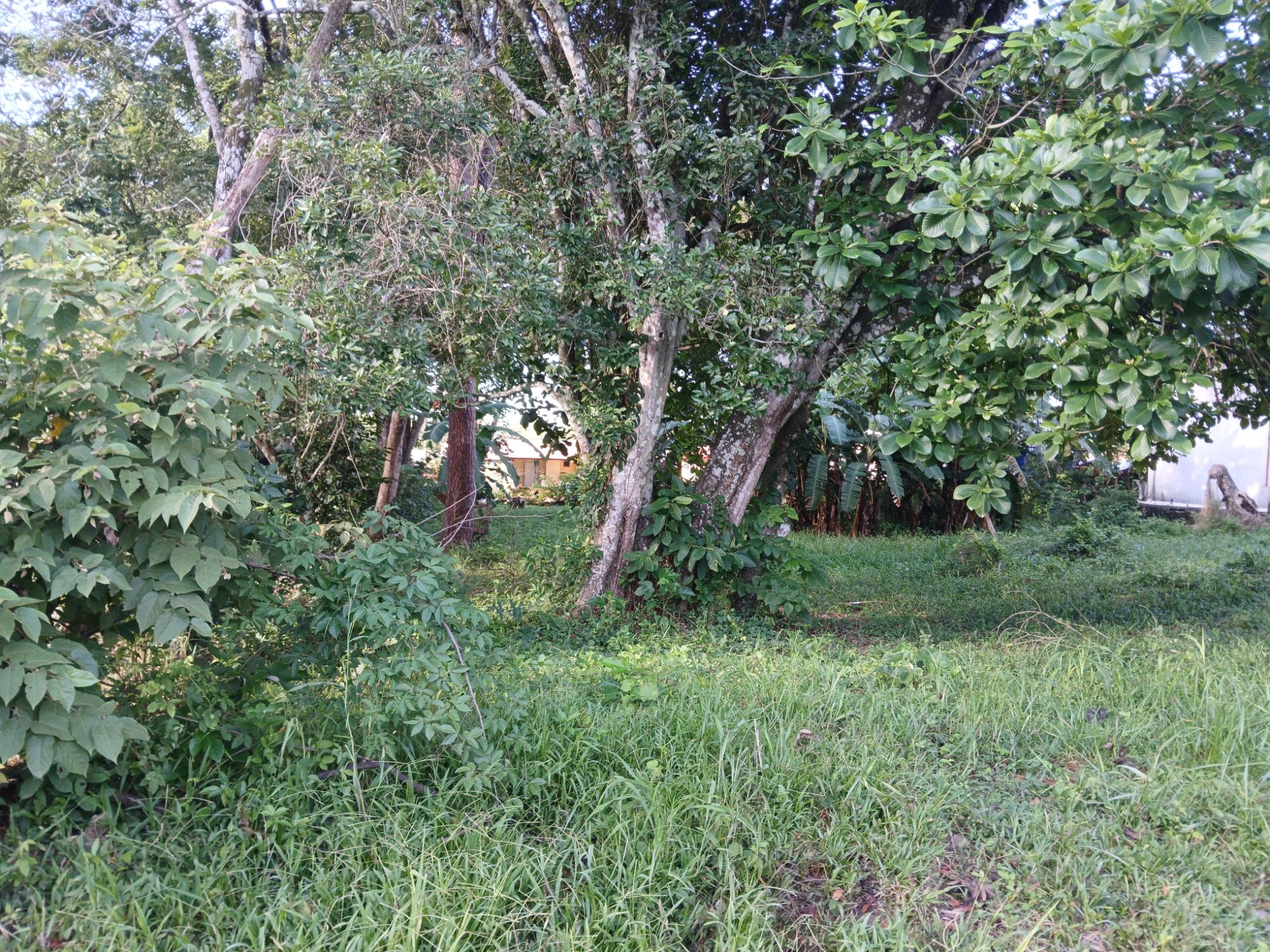 res-0000632d-09.jpg