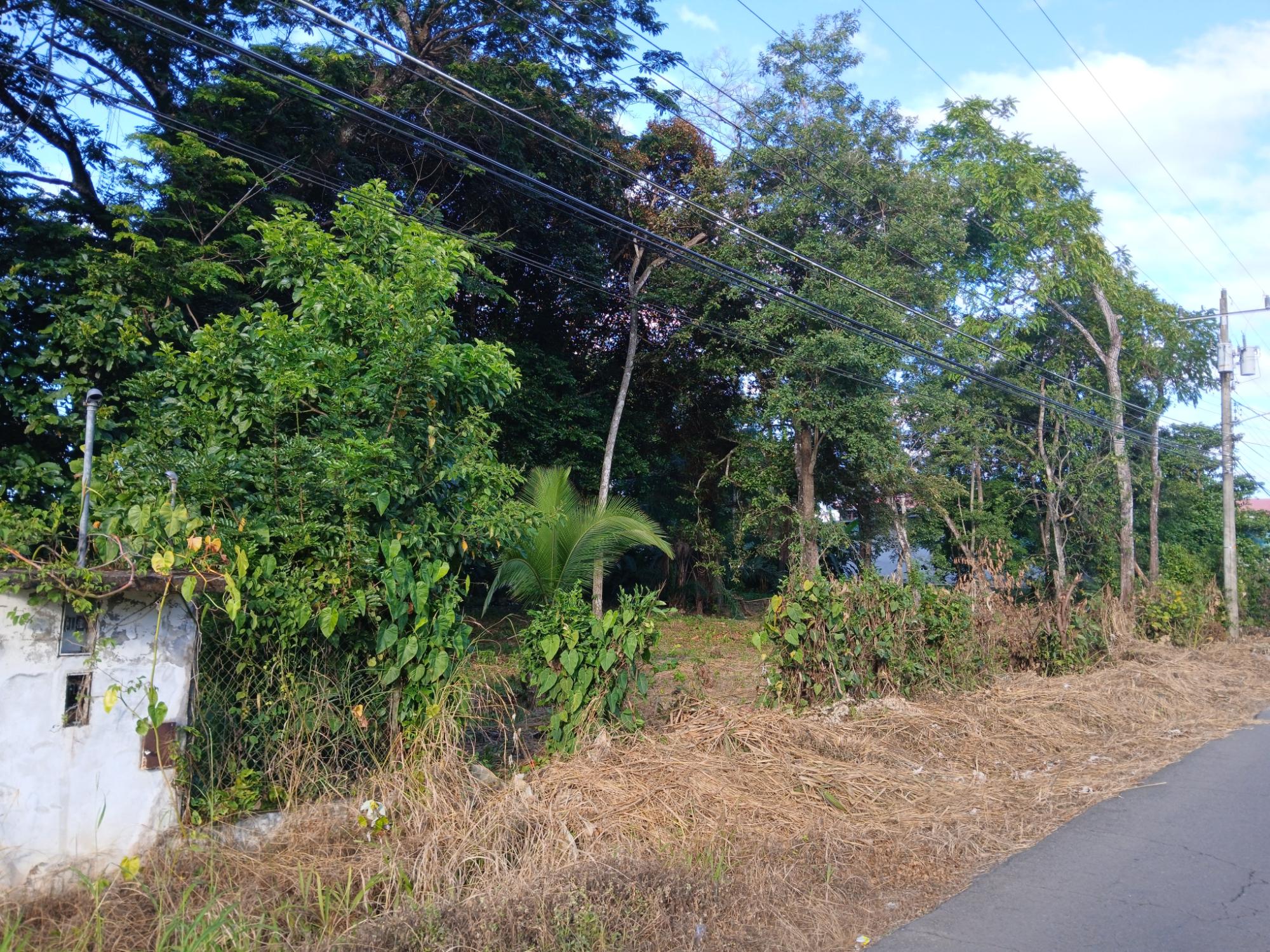 res-0000632d-12.jpg