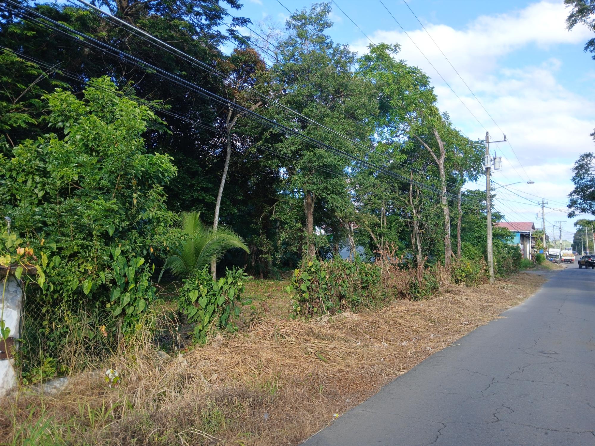 res-0000632d-13.jpg