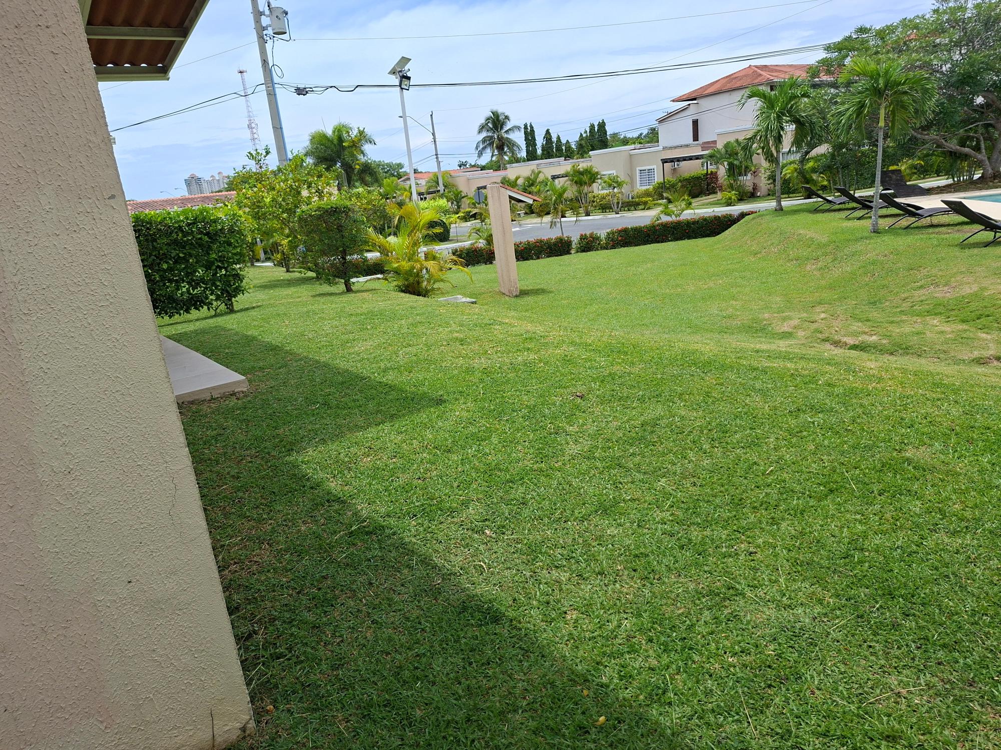 res-00006351-09.jpg