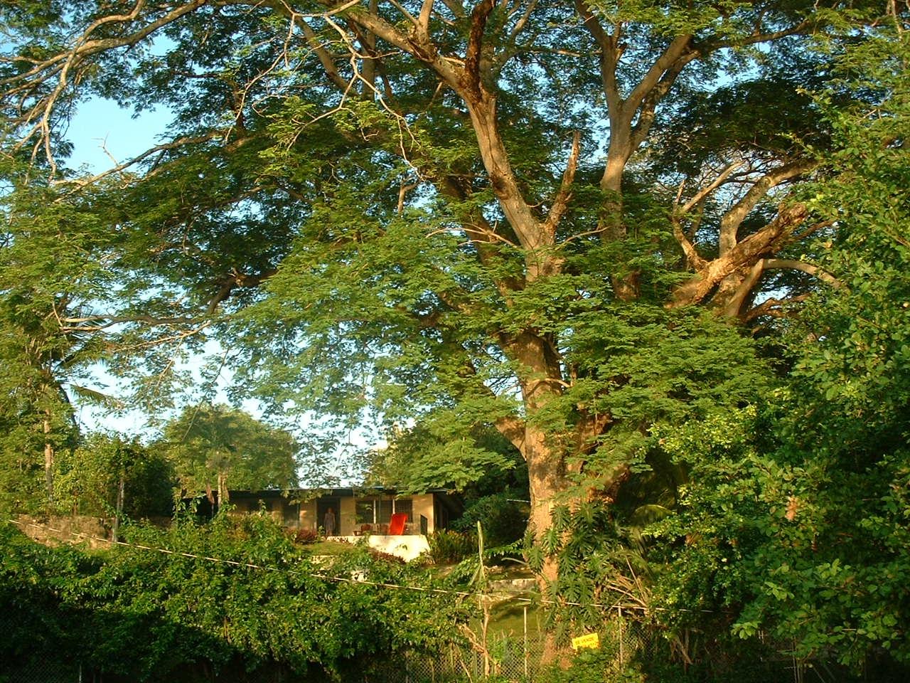res-00006354-09.jpg